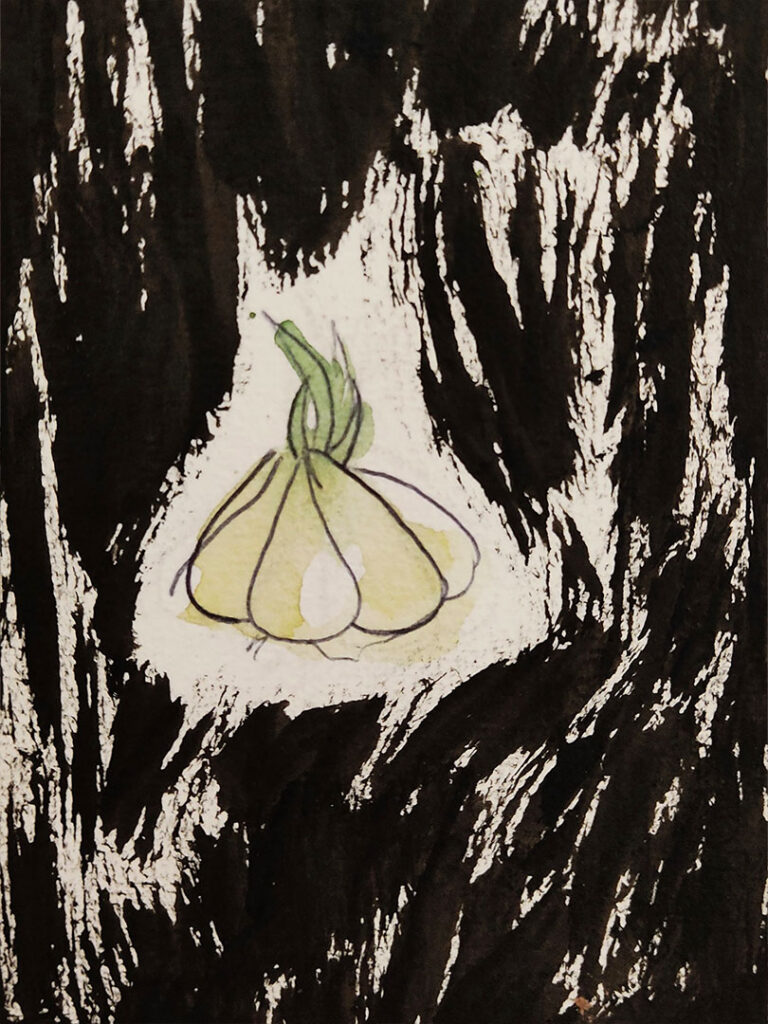 Aglio rosa