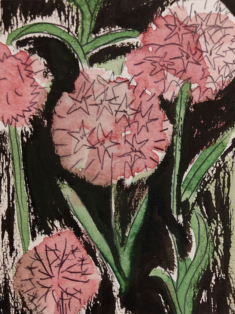 Aglio rosa