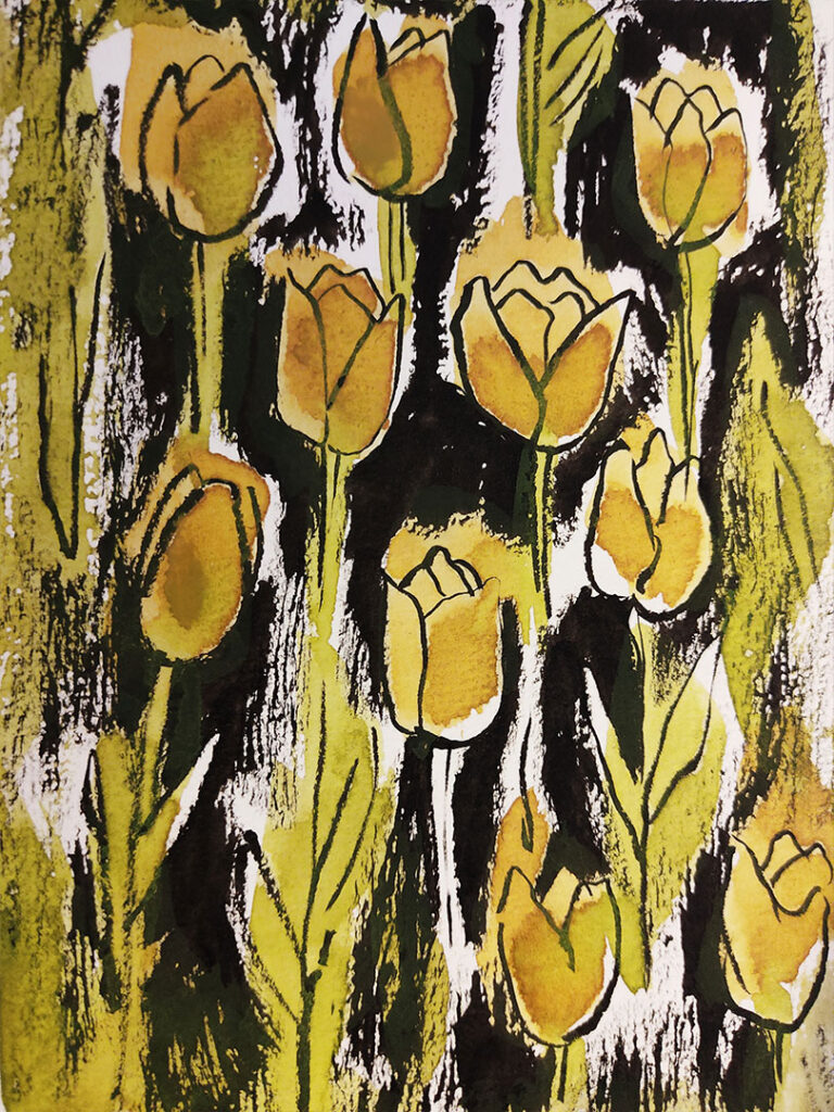 Tulipani