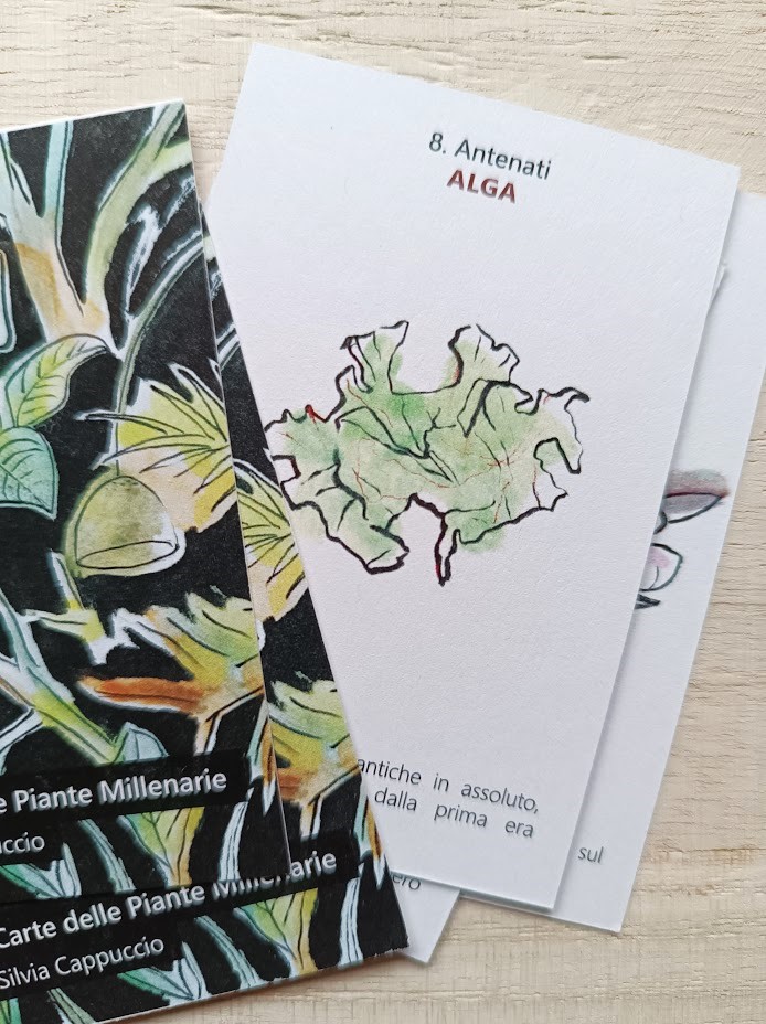 Antenati | Alga