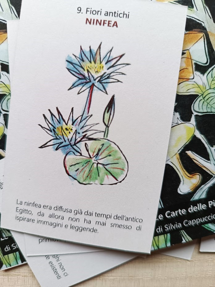 Fiori antichi | Ninfea
